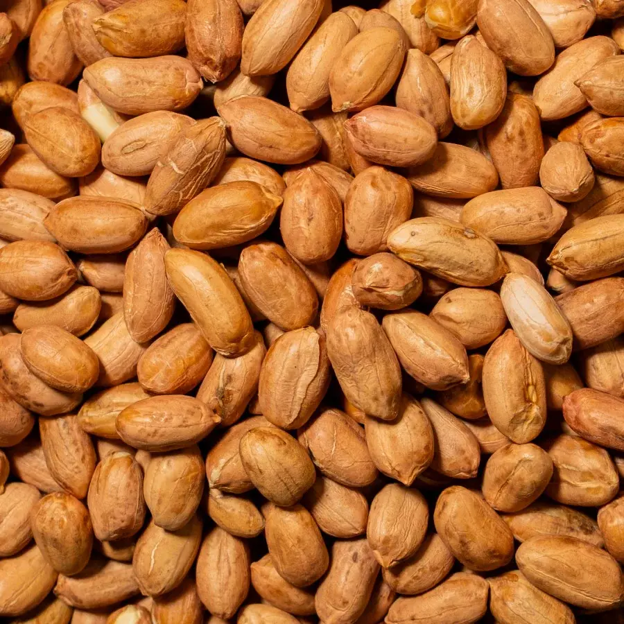 Yer Fıstığı Jumbo Çiğ 150 Gr Paket