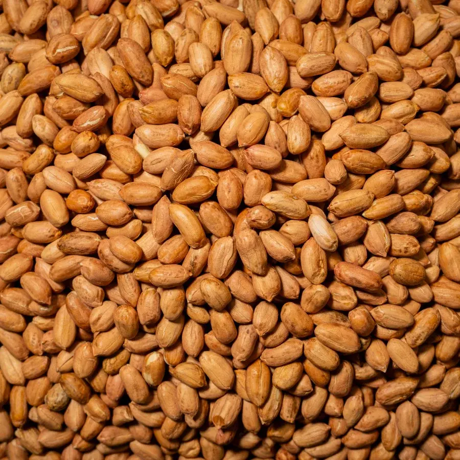 Yer Fıstığı Jumbo Çiğ 150 Gr Paket