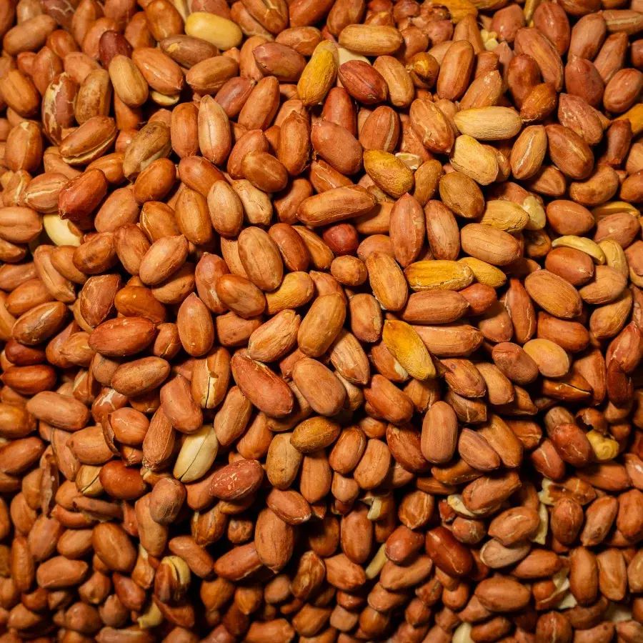 Yer Fıstığı Jumbo Tuzsuz 150 Gr Paket