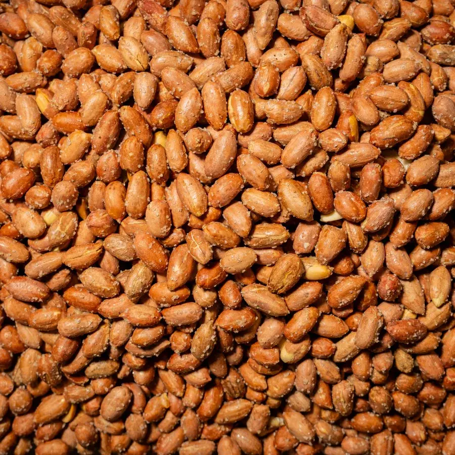 Yer Fıstığı Jumbo Tuzlu 150 Gr Paket