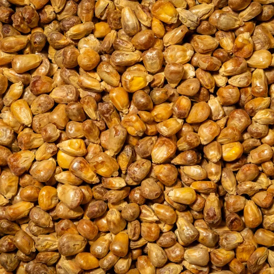 Mısır Kavurgası 150 Gr Paket