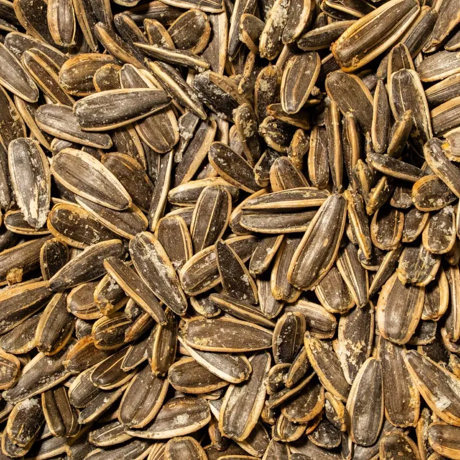 Ay Çekirdeği Yerli Dakota Tuzlu 1 KG