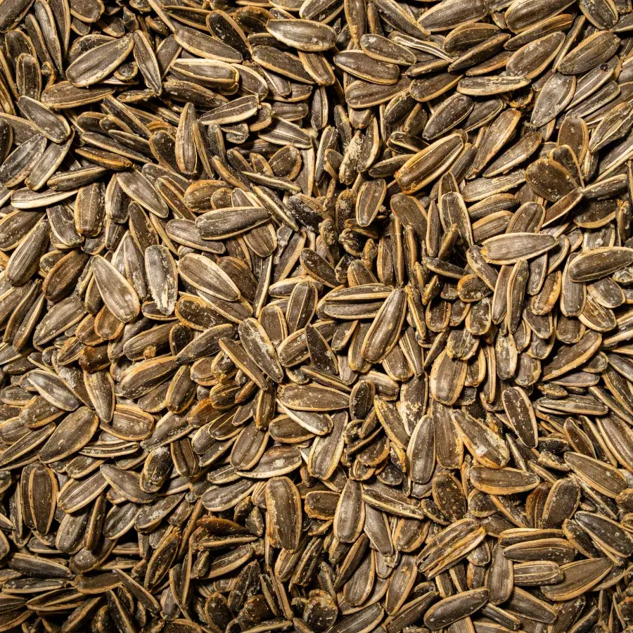 Ay Çekirdeği Yerli Dakota Tuzlu 1 KG