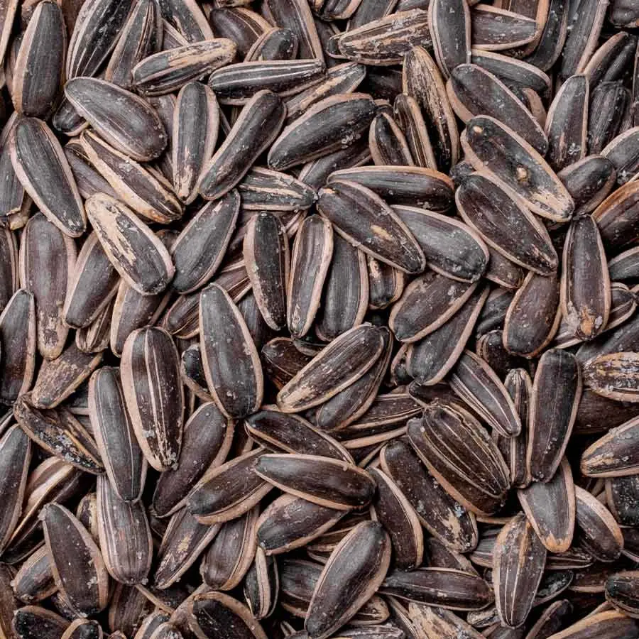 Ay Çekirdeği Dakota Tuzlu 500 Gr Paket