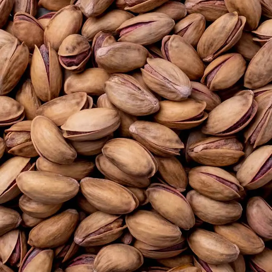Antep Fıstığı Extra 1 KG Paket