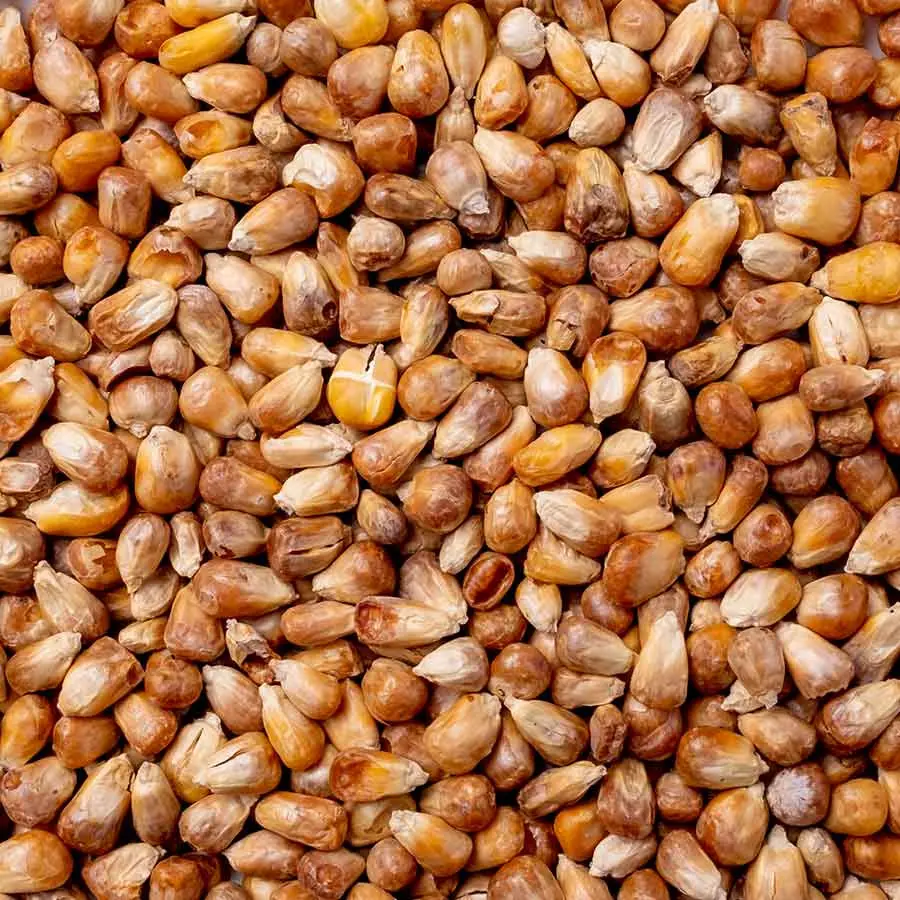 Mısır Kavurgası 150 Gr Paket